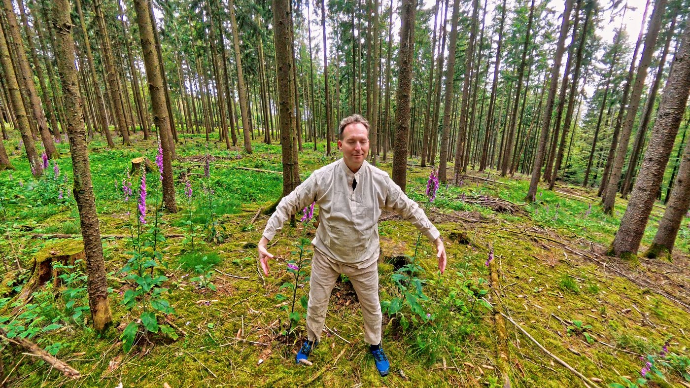 Qigong im Wald · mediale Kampfkunst
