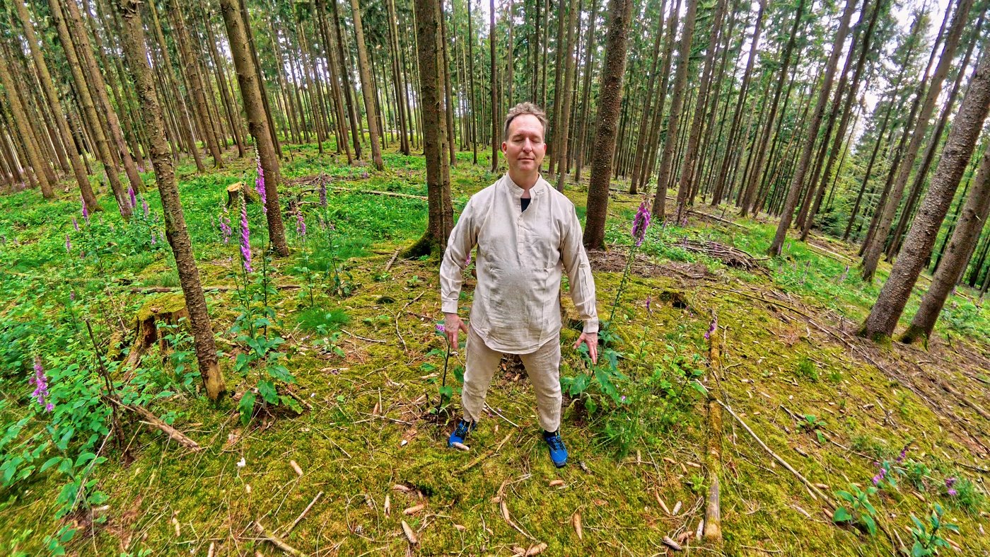 Qigong-Praxis Daoismus · Dr. Mark Hosak
