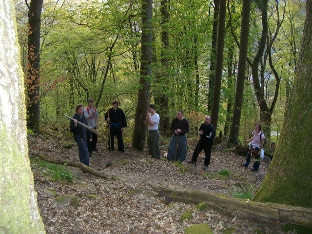 Wald-Training